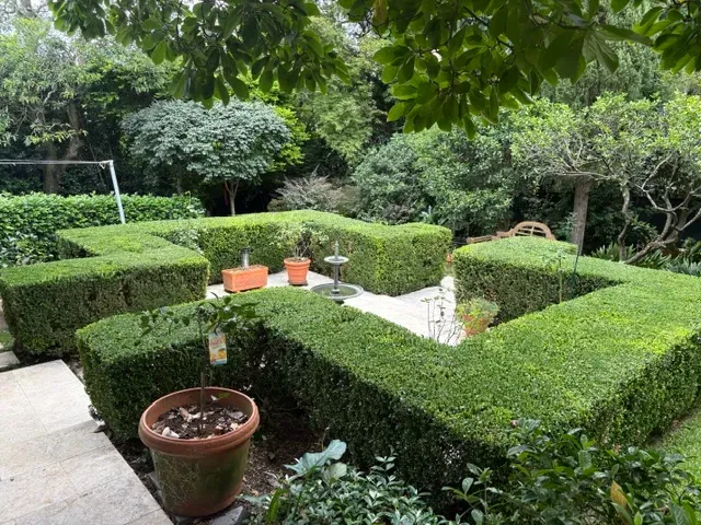 Formal box hedges clipped square around a courtyard garden