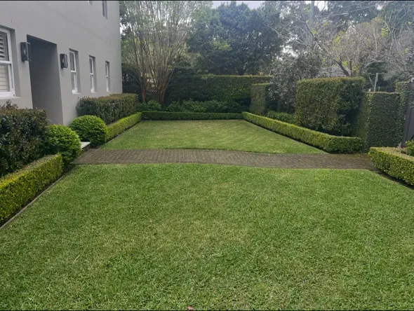 Formal garden with a mowed lawn framed by clipped hedges