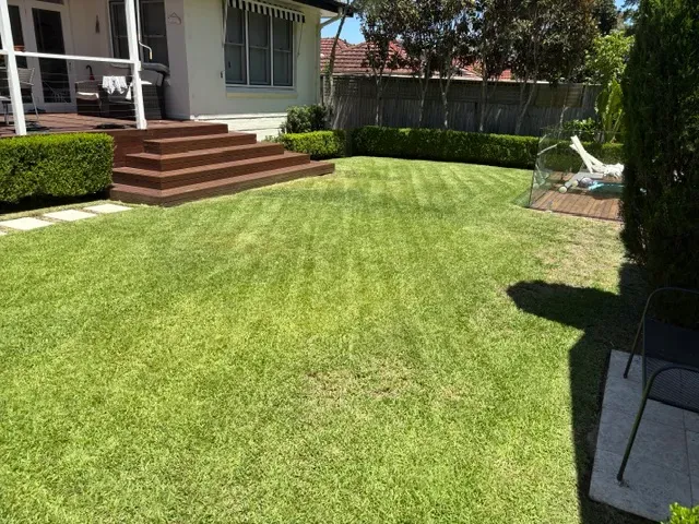 Freshly mowed back lawn beside a timber deck and clipped hedge
