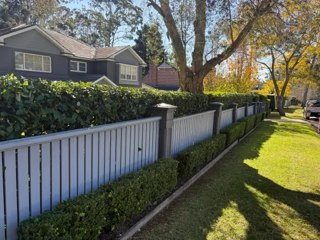 Freshly trimmed hedge running along a white picket fence beside a mowed front lawn in Turramurra