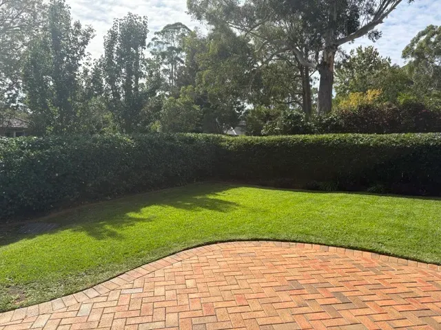 Trimmed hedge and mowed lawn beside a brick driveway