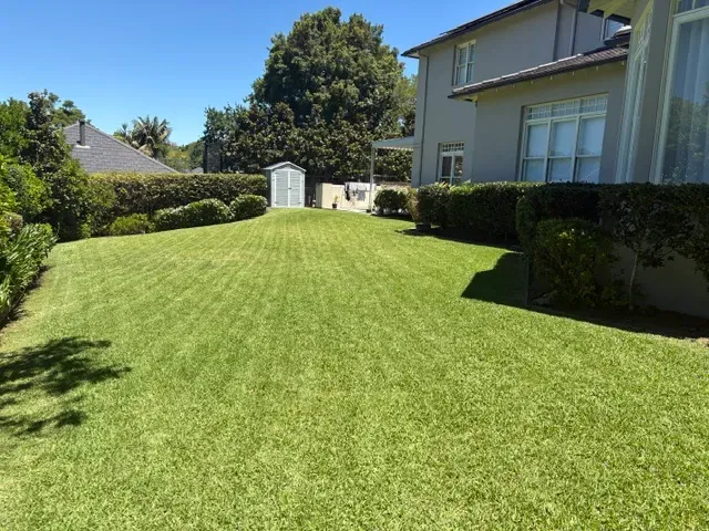 Large back lawn mowed in front of a two-storey house with trimmed hedges, Upper North Shore
