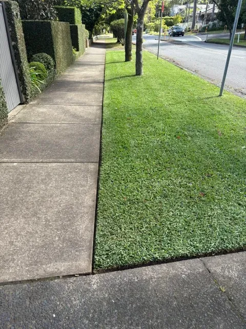 Crisp lawn edge trimmed along a concrete path